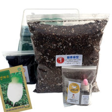 하늘e정원 키트 텃밭 씨앗 20립, 무