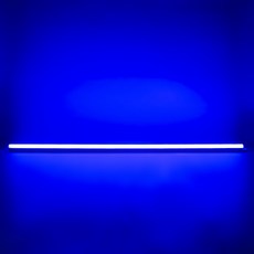 샛별하우스 RGB LED T5 600mm, 청색