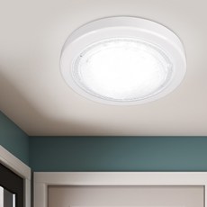 원하 EL 아크릴 원형 방습형 플리커프리 직부등 LED 20W, 주광색, 1개