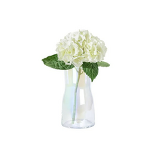 室內裝飾透明玻璃花瓶 1, 彩虹