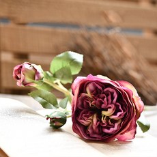 GAPANG 玫瑰乾花 DRYE096, 09（紫色）