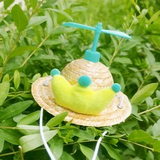 JU&寵物螺旋槳可愛帽, 王冠