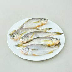 산지직송 일품 법성포 선별참조기 (냉장), 1개, 400g(대, 5미)