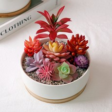 morningscent 早晨香氣 DIY 沸石多肉植物人造花套組 A款, A1, 1套