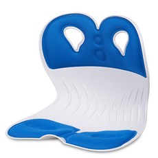 체어클럽 서포트백 자세교정의자, 블루