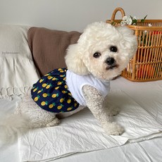 bydamsoomi 寵物鳳梨連身裙, 海軍藍, 1個