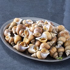 어업회사법인해선생 포항시 인증 탱글탱글한 구룡포 고동 (냉장), 1kg(소, 40미 내외), 1박스