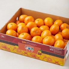 탑문주왕 당도선별 11brix 감귤, 3kg(로열과), 1박스