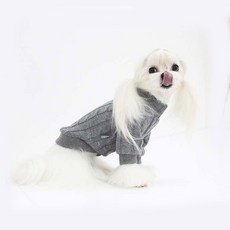 레어밍스 강아지 꽈배기 터틀넥 니트티, 그레이, 1개