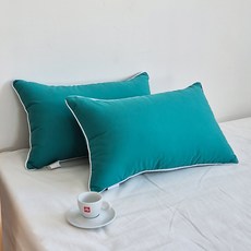 아임리빙 사계절 스윗엣지 통세탁 베개, 딥그린, 2개