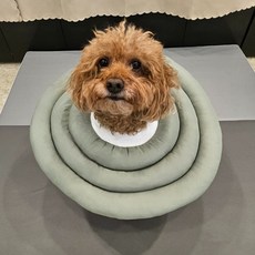 MAAH 大型犬用頸圈, 1個, 卡其綠