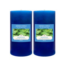 더허브샵 아로마 캔들, 페퍼민트, 570g, 2개