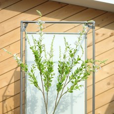 Haru Gonggan 人造繡線菊, 白色