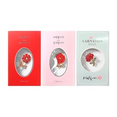 愛與感謝康乃馨胸針2款 + 康乃馨之愛胸針與卡片組, 1套, 隨機出貨(康乃馨之愛)