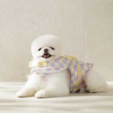 Woolly 寵物 我們家毛孩 救生衣, 1個, 薰衣草紫