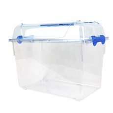 昆蟲觀察箱 XL號, 混合顏色, 1個