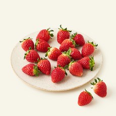 무농약 인증 고령 설향 딸기 중과, 1개, 500g