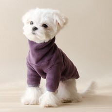 petit dog 狗狗刷毛連帽高領T恤, 紫色, 1個