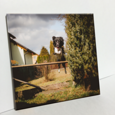 室內裝飾照片 C1311