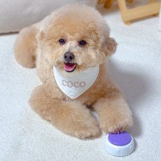 MAAH 狗狗訓練溝通錄音鈴, 紫色, 1個