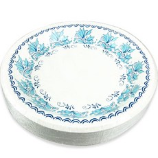 DAEHAN WELLBEING 歐風免洗盤 23cm, 1個, 40件