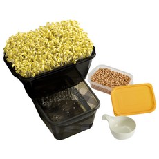 EASY&FREE 豆芽菜培植容器 6入 PP塑膠材質 耐熱60°C 韓國產, 1組