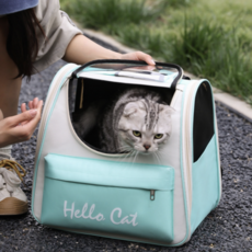 Day Modern 貓咪摩登外出包, 1個, 薄荷綠