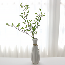 IBERIS Dawoo F&G 輝卡斯枝條, 2個, 綠色