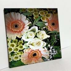 UDP 磁磚相框 A型 3920934, 單一顏色