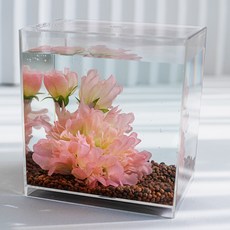 綠色繩子觀賞魚用玫瑰貝塔屋, 混合顏色