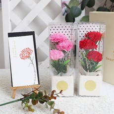 Blüehen 康乃馨造型香皂花禮盒, 1套, 紅色, 粉色