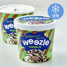롯데웰푸드 위즐 아몬드쿠키 아이스크림 (냉동), 1개, 1개입, 660ml