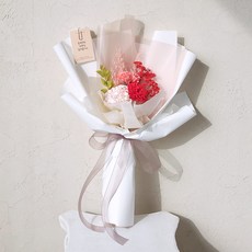 아스파시아 조화 풍성함의 꽃 다화 카네이션 프리저브드 꽃다발 + 쇼핑백, 레드(조화), 1개