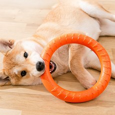REDPUPPY 狗狗飛環, 1個, 隨機出貨