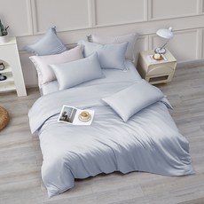 J-bedtime 床寢時光 60支奧地利蘭精100%純天絲舖棉床包4件組 SWM5553M