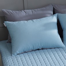 LEREVE 밀크 세미 마이크로 베개커버 2p