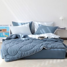 韓國 amante 基本柔軟雙面薄被枕頭組