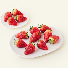 비타킹 대과, 1개, 500g