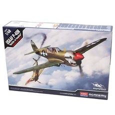 1:48 美國陸軍航空隊 P-40N 英帕爾戰役 12341