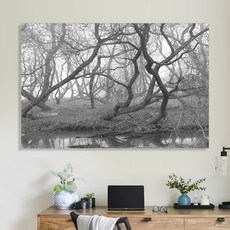 생태늪지 사진작가 김기춘 베스트 포토 캔버스 명화 K030