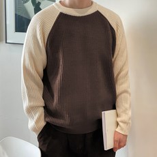 THE ACTION 撞色拉克蘭針織衫 T2951