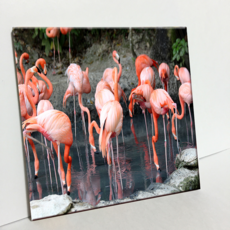 HTP 磁磚 湖上紅鶴 C2868