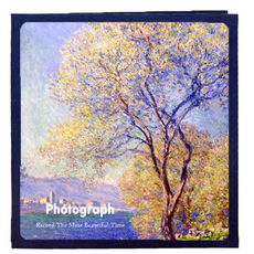 Star Art 照片相簿 27 x 28 cm, 20張, 10 春季白