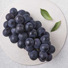제이드가든 거봉 포도, 500g, 1개