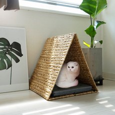 피넛스토어 고양이 삼각하우스, 1개