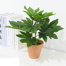 도시정원 조화 팔손이 화분, 랜덤발송(토분), 1개