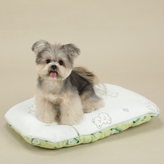 RITOGATO 狗狗Porpe人造絲涼感雙層墊, 綠色, 1個