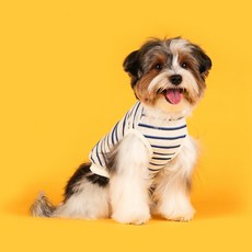 플로트 강아지 스탠다드 민소매 티셔츠, 블루, 1개