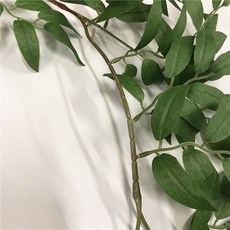 尤加利葉掛飾 CE_06_04, 單一顏色