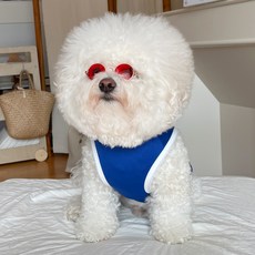 바이담수미 반려동물 쿨 조끼, 블루, 1개